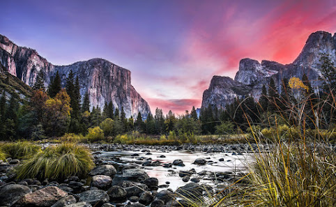 Yosemite National Park